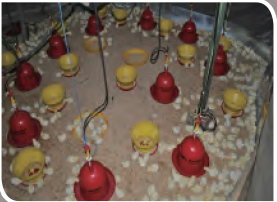 CC宝(中国集团)官方网站