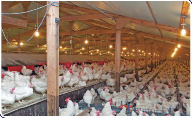 CC宝(中国集团)官方网站