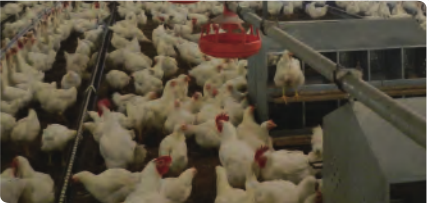 CC宝(中国集团)官方网站