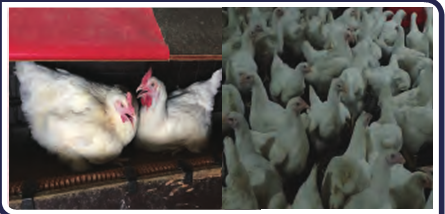 CC宝(中国集团)官方网站