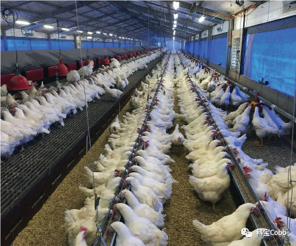 CC宝(中国集团)官方网站