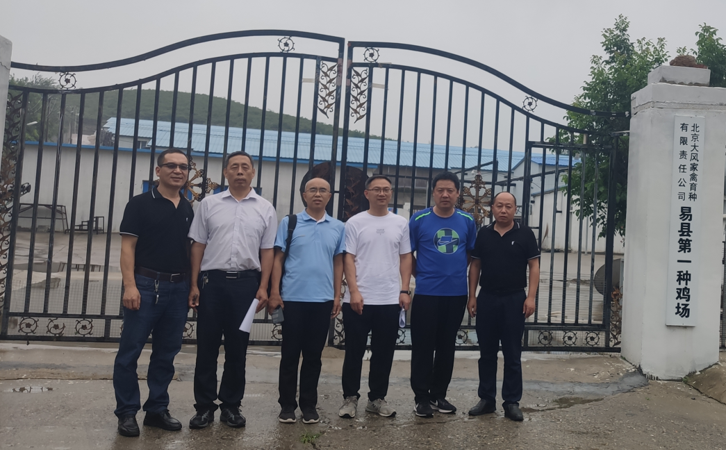 CC宝(中国集团)官方网站