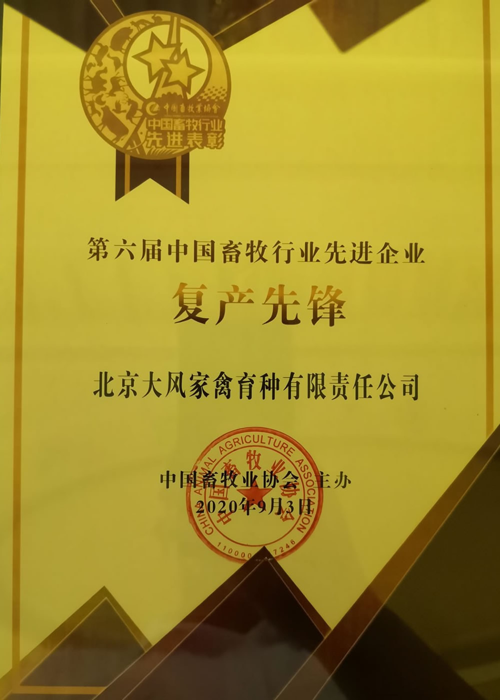 6bec2ea2ebbead4c9b9de0fc567e6732