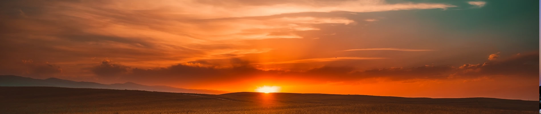 889443dc949212440a16706b714f249b